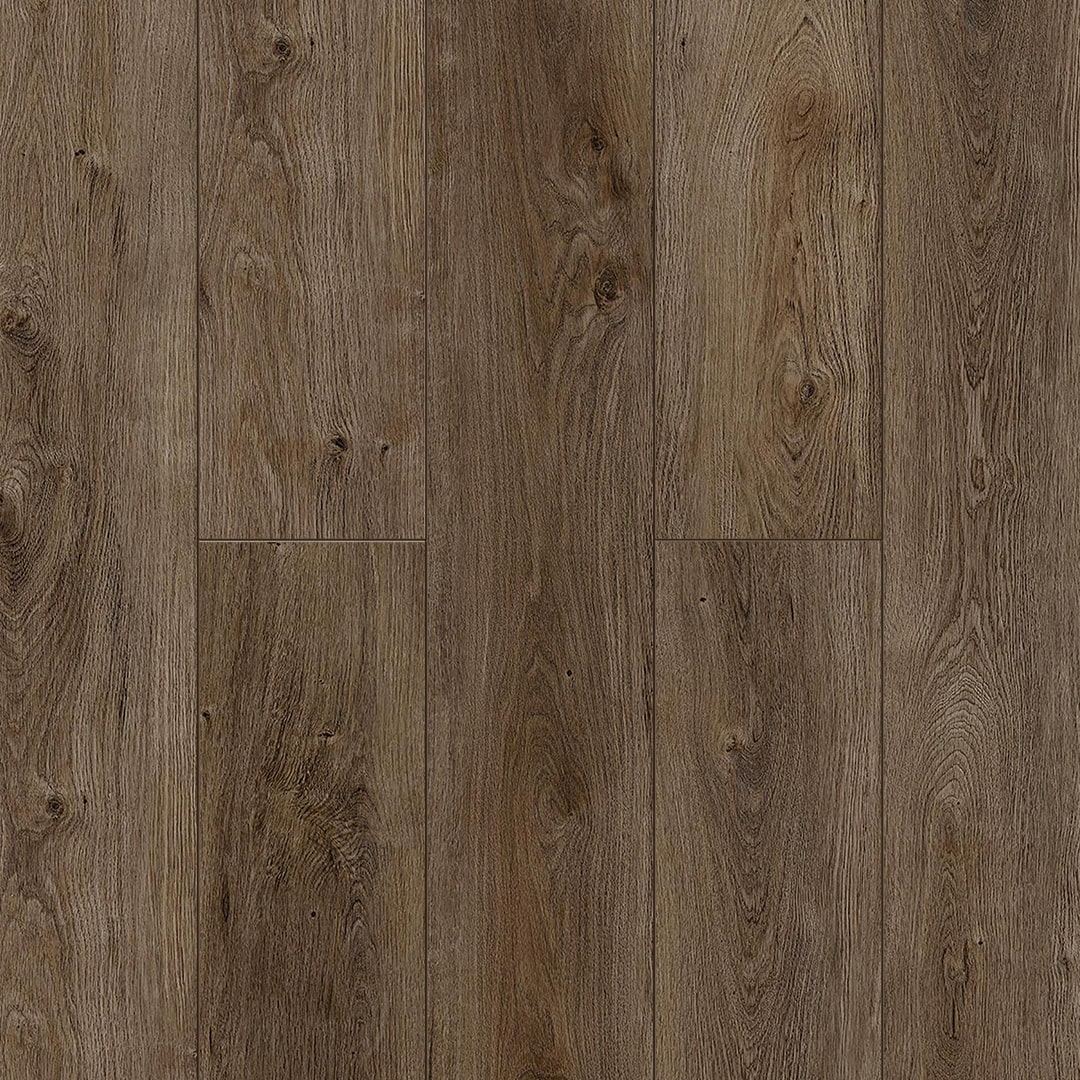 Skog 5002-02
