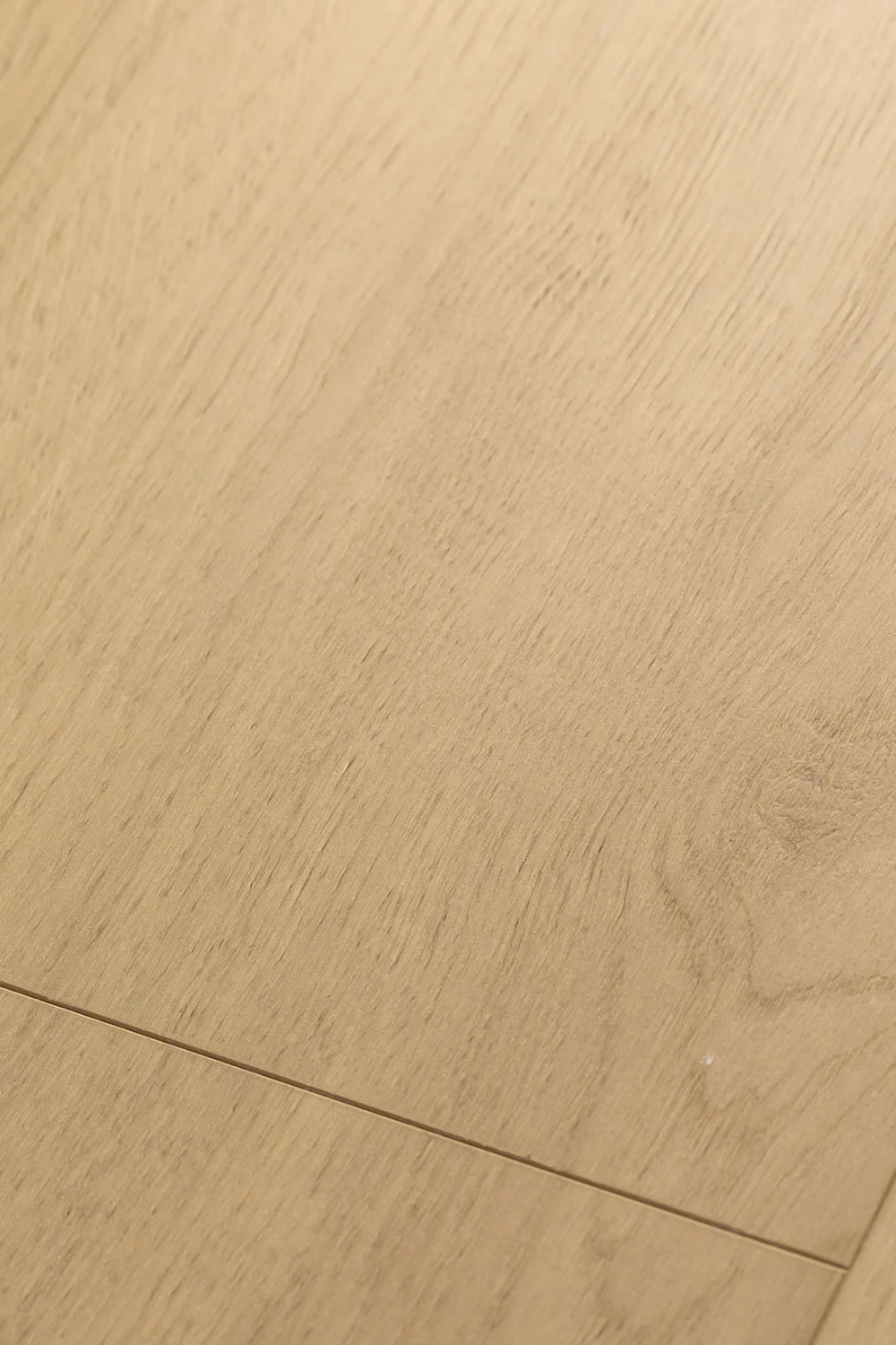 Дуб Файдес | Fides oak 1F318