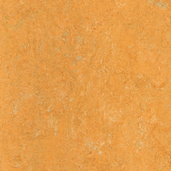 121-173 melon orange