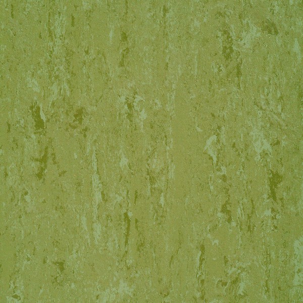 151-011 avocado green
