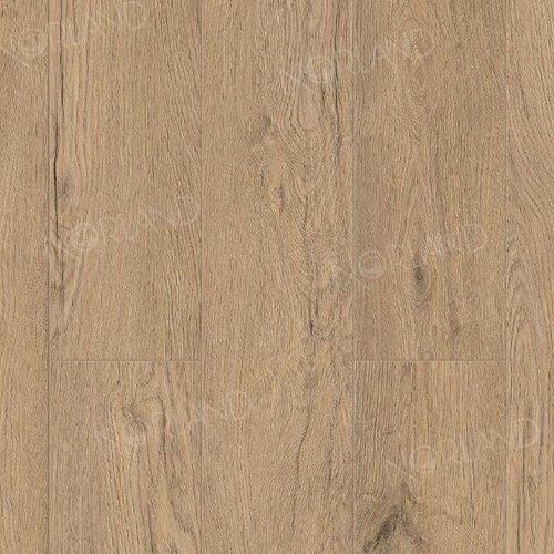 Alida 1022-6