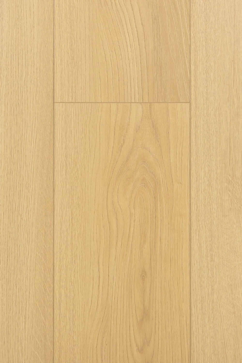Дуб Лояль | Loyal oak 1F403