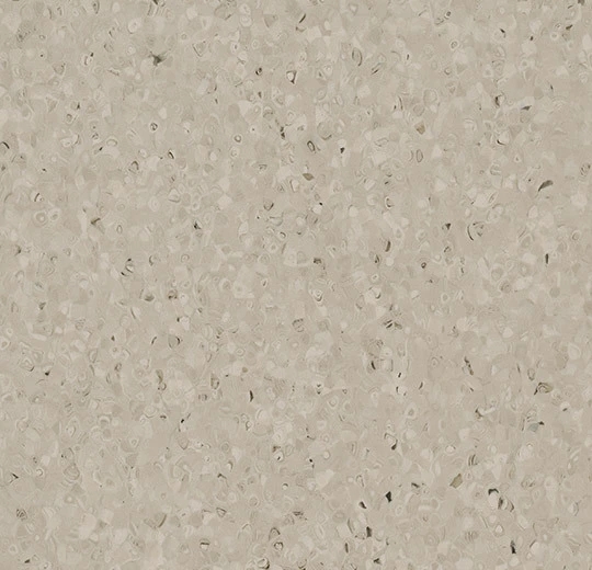 50525 canvas