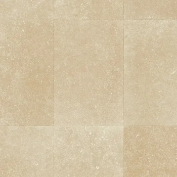 КРЕМОВЫЙ РАКУШЕЧНИК L1256-05486