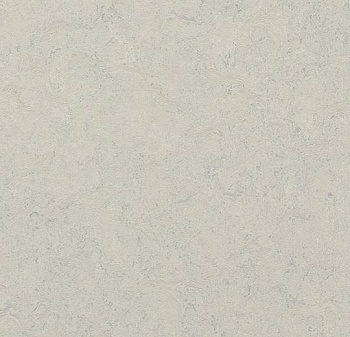 386035 silver shadow
